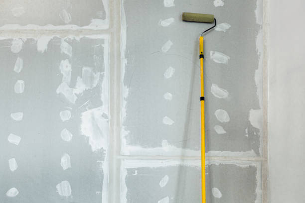 Best Comprehensive Air Testing for Mold Contaminants  in Tainter Lake, WI
