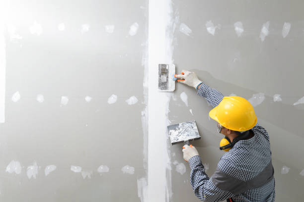 Best Basement Mold Removal  in Tainter Lake, WI