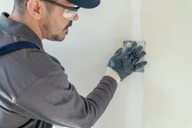 Best Mold Documentation for Insurance Claims  in Tainter Lake, WI