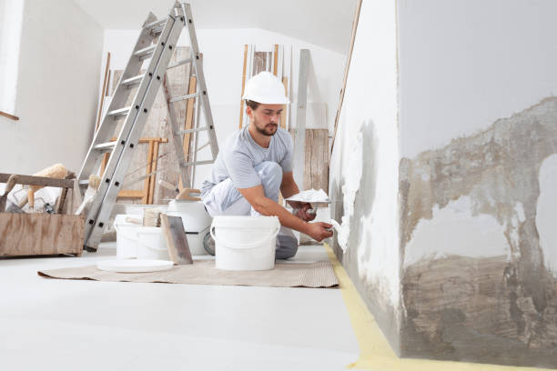 Best Black Mold Removal  in Tainter Lake, WI