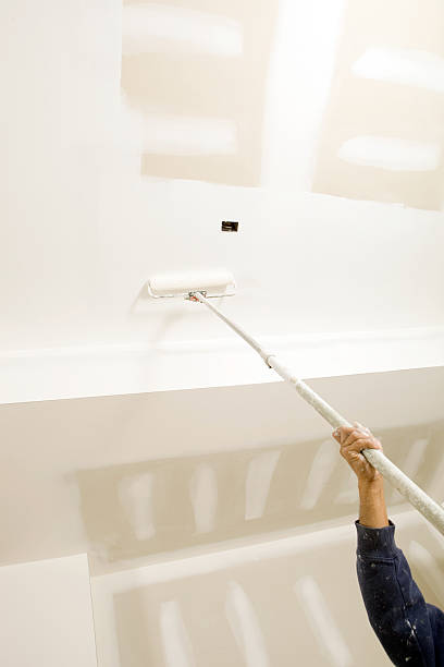 Professional Mold Removal in Tainter Lake, WI