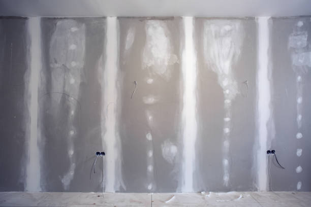 Best Real Estate Mold Inspection  in Tainter Lake, WI